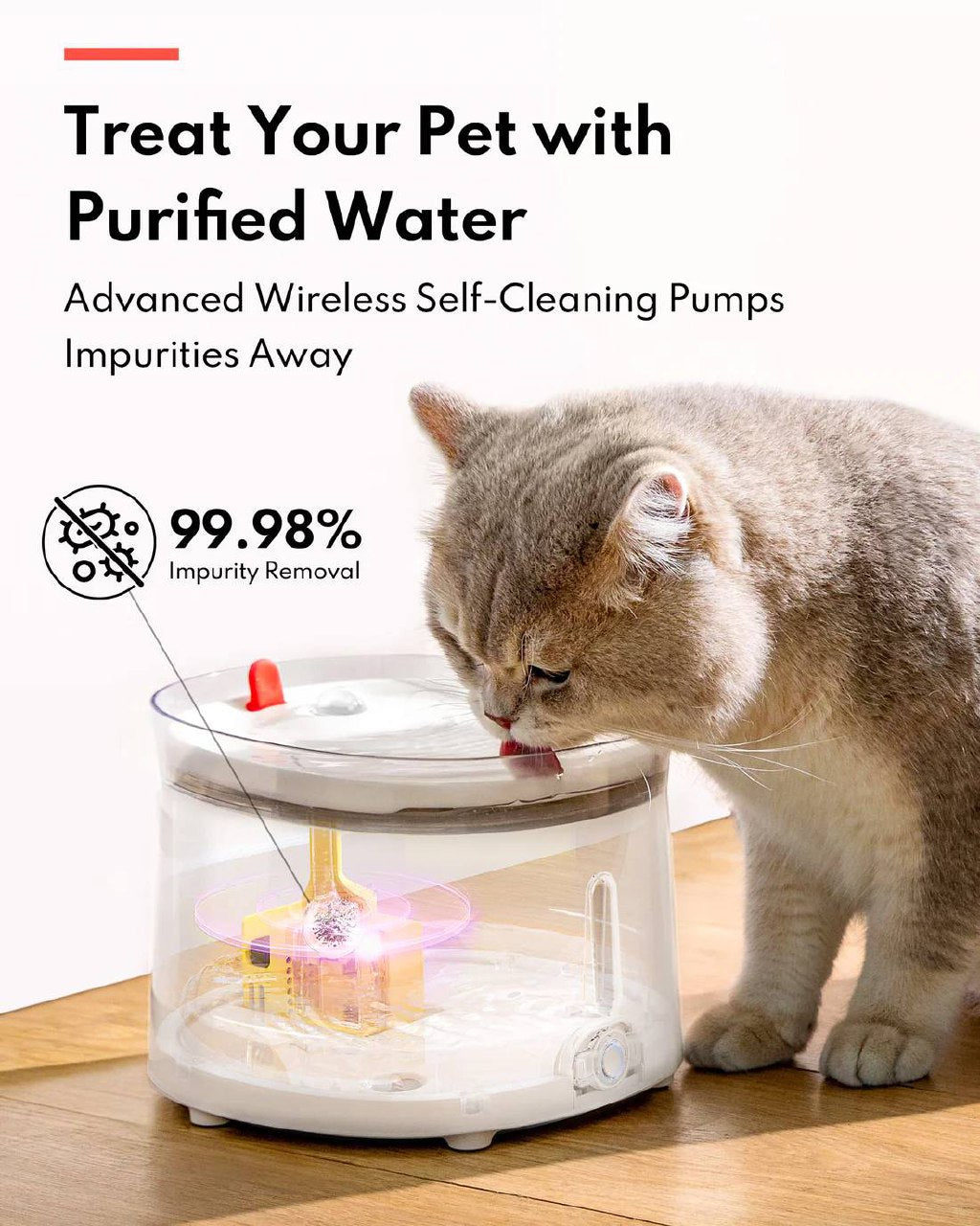 Pet Water Fountain with wireless pump - NO FILTER
