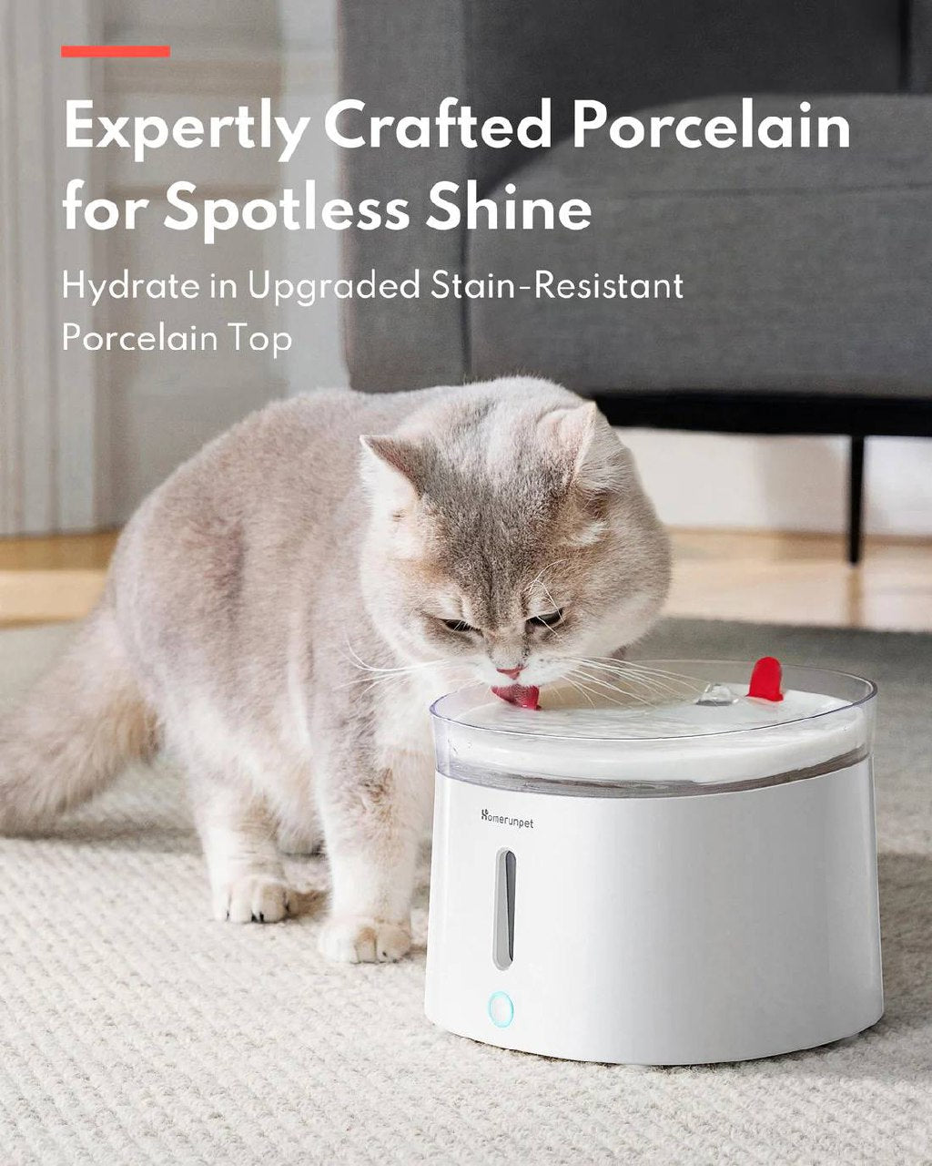 Pet Water Fountain with wireless pump - NO FILTER