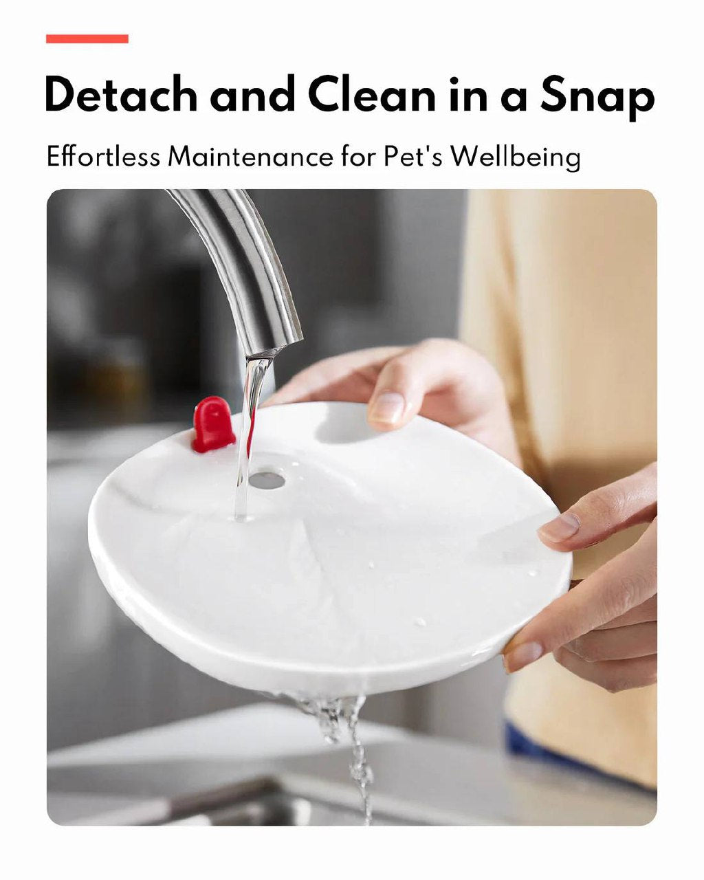 Pet Water Fountain with wireless pump - NO FILTER